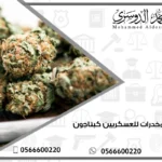تحليل المخدرات للعسكريين كبتاجون