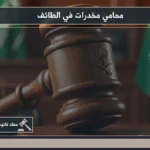 محامي مخدرات في الطائف خلال دراسة ملف القضية ومراجعة محاضر الضبط والتحقيق قبل بناء خط الدفاع